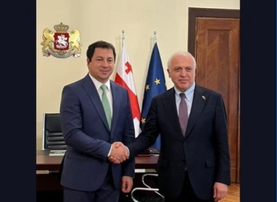 ՀՀ դեսպանը հանդիպել է Վրաստանի խորհրդարանի նախագահի տեղակալին
