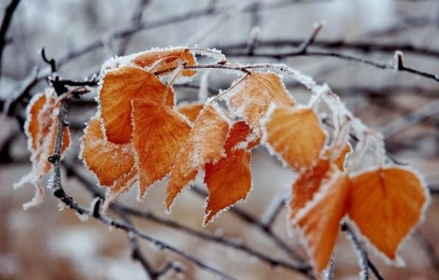 Օդի ջերմաստիճանը կրկին կնվազի