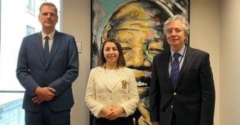 ՀՀ ՄԻՊ Քրիստիննե Գրիգորյանը հանդիպել է Բելգիայի Դաշնային օմբուդսմաններին