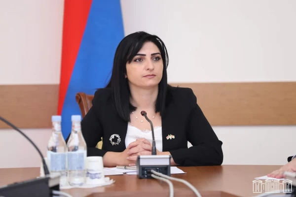 Շատ ուշ է անհետ կորածների հարցերով հանձնաժողովի ստեղծումը. 2 տարի է ասում եմ. Թ. Թովմասյան. Ժողովուրդ