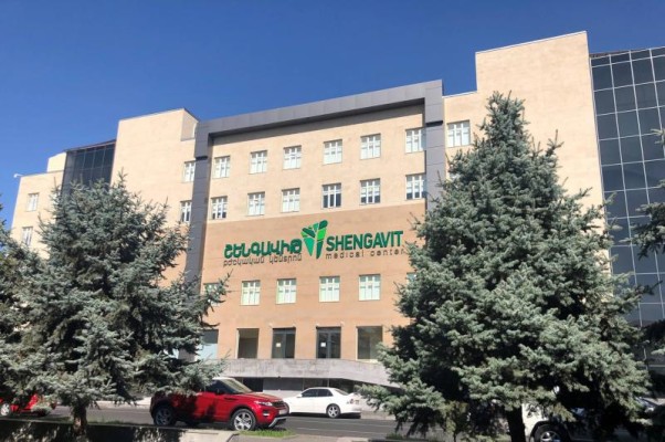 Արտակարգ դեպք՝ «Շենգավիթ» բժշկական կենտրոնում. բերման են ենթարկվել 2 հարազատ եղբայրներ