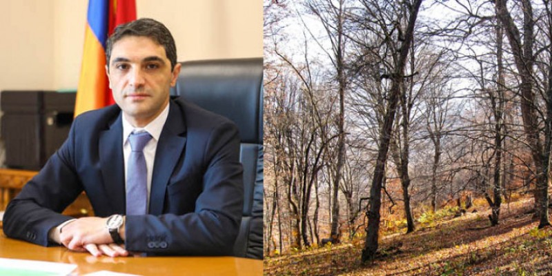 Անտառներն էլ պարեկներ կունենան. Փաստ