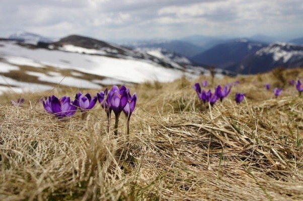 Եղանակը Հայաստանում
