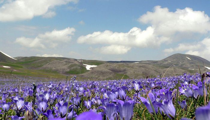 Եղանակը Հայաստանում