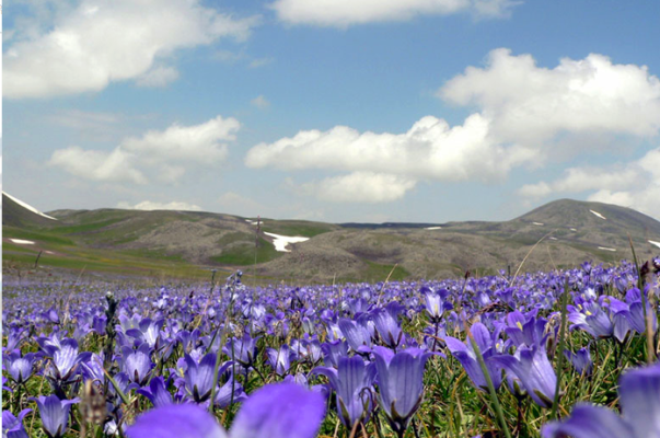 Եղանակը Հայաստանում