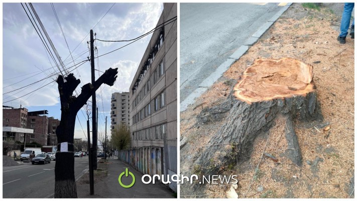 Հատված 37 թեղիների մասին ոչ մի հրավիրված մասնագետ համաձայնություն չի տվել և տեղյակ էլ չի․ Էդուարդ Հայրումյան