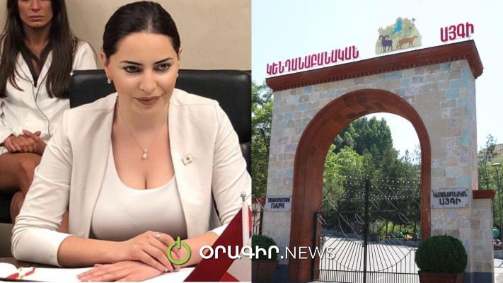 Կենդանաբանական այգին A կետից B կետ տեղափոխվելիս գումարը չի փոխվի. Թեհմինե Վարդանյան