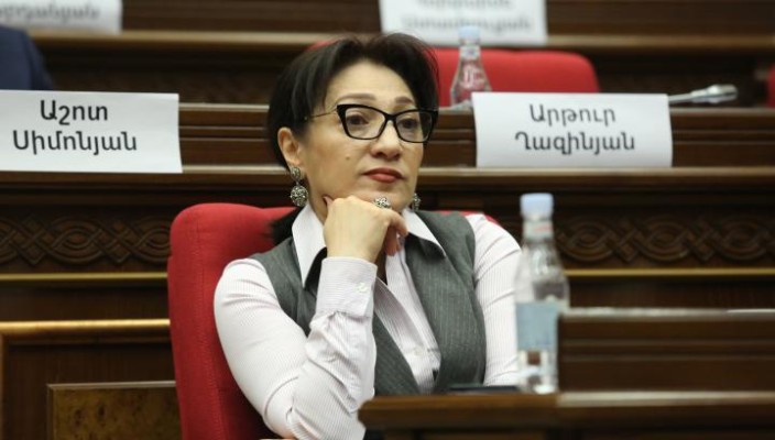 Քաղաքական տուրիզմների չենք գնում, դրանք կարևոր գործուղումներ են․ ընդդիմադիր պատգամավոր