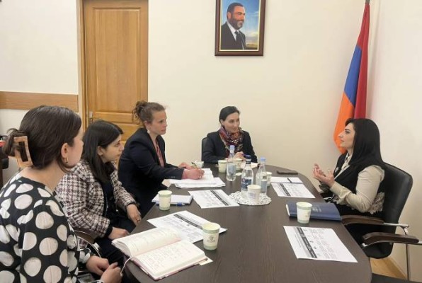 Թովմասյանն ու Օլիվիա Նիհենկեն քննարկել են պատերազմի հետևանքով տեղահանված խոցելի խմբերի խնդիրները