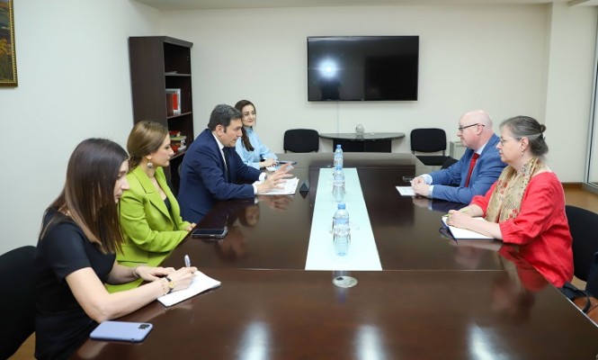 ԱԳ նախարարի տեղակալը հանդիպել է ԵԽԽՎ զեկուցող Փոլ Գավանի հետ