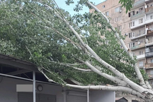 Քամու հետևանքով ավտոտնակի կտուր է վնասվել, բայց քաղաքապետարանը դրա մասին չգիտի