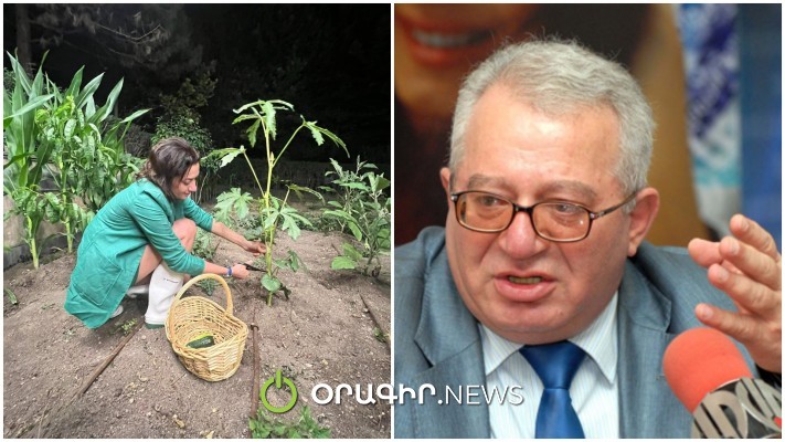 Եթե ստացվել է՝ Նիկոլի հետ ամուսնանա, բուսաբուծությունն էլ կստացվի. Հրաչ Բերբերյան
