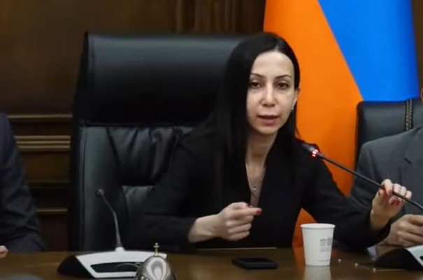 Իմ մայրը նման բառեր չի գրել և առհասարակ նման բառապաշար չունի. Մարիա Կարապետյան