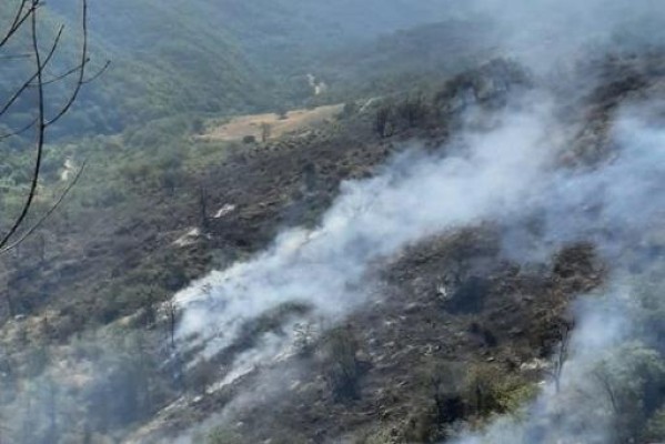 Ներքին Հանդի հրդեհը մարվել է