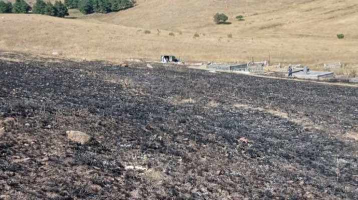 Այրվել է մոտ 10 հա խոտածածկույթ