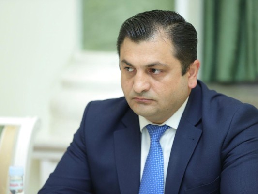 Բռնության ենթարկված աղջիկն ու մնացած երեխաները սոցիալական աջակցման կենտրոններում են