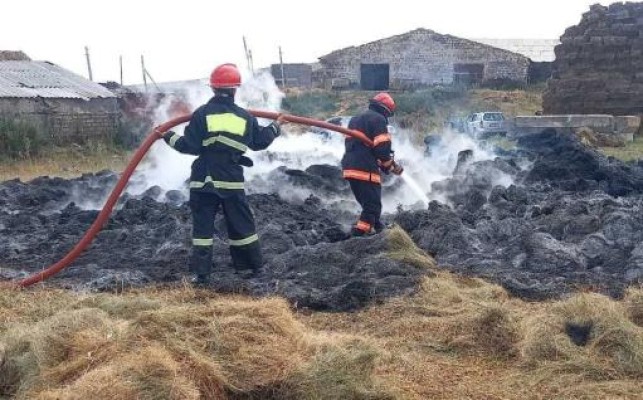 Բավրայում հրդեհ է բռնկվել․ այրվել է 5000 հակ անասնակեր