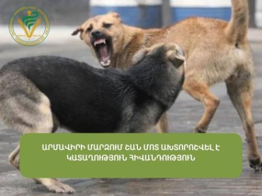Արմավիրում արձանագրվել է շան կատաղություն հիվանդության դեպք