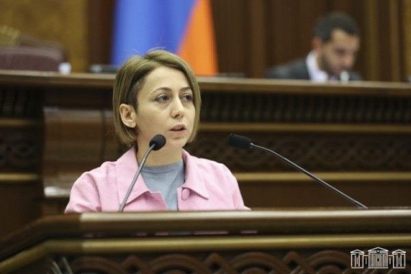 Արվեստի քննադատից՝ փոխնախարար. ինչ ունեցվածք ունի Աննա Ժամակոչյանը. Ժողովուրդ