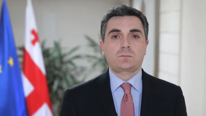 Յուրաքանչյուր երկիր իրավունք ունի ունենալ պաշտպանական ուժ․ Վրաստանի ԱԳ նախարարը՝ Բաստիոն համակարգերի ՀՀ տարանցման մասին