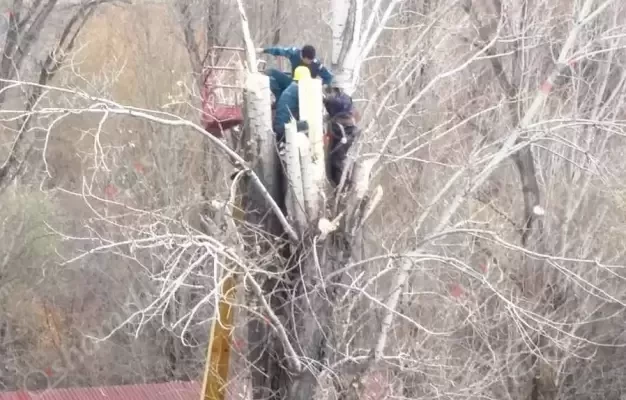Գյումրիում փրկարարները 15-մետրանոց ծառից իջեցրել են քաղաքապետարանի՝ ոտքի բաց կոտրվածքով աշխատակցին․ shamshyan.com