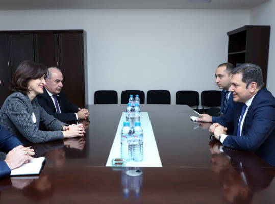 ՀՀ ԱԳ նախարարի տեղակալ Պարույր Հովհաննիսյանի հանդիպումը Մակա Բոճորիշվիլիի հետ