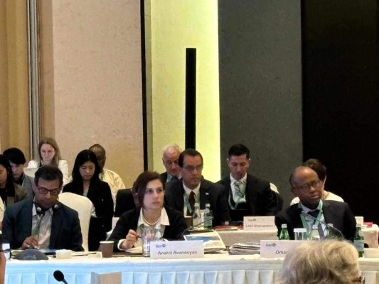 Անահիտ Ավանեսյանը մասնակցել է «Պատվաստանյութերի և իմունիզացիայի գլոբալ դաշինքի»խորհրդի տարեվերջյան գագաթնաժողովին