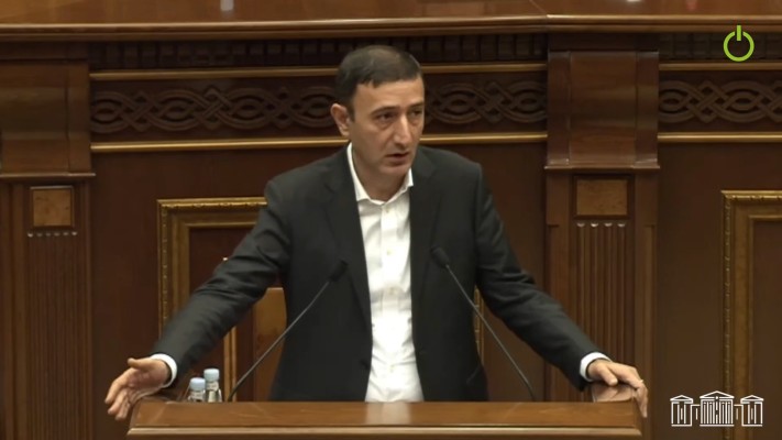 Ես էլ որ ընդդիմադիր լինեի, հավեսով ամեն ինչ կքննադատեի․ Թունյան