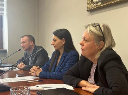 ՄԻՊ գրասենյակում կազմակերպվել է Պաշտպանի աշխատակազմի կարողությունների զարգացմանն ուղղված հանդիպում-քննարկում