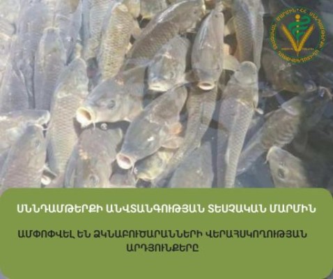Մի շարք ձկնաբուծարաններում ինֆեկցիոն հիվանդություններ են հայտնաբերվել