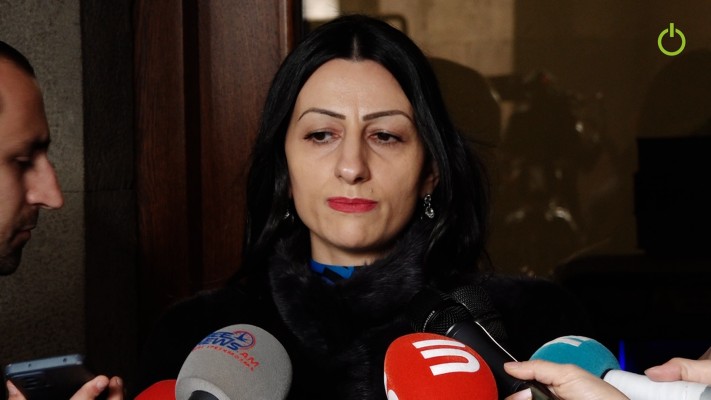 Այս ամենը մտահոգիչ է. ՄԻՊ-ը՝ բանակում մահվան դեպքերի մասին