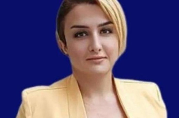 Դուրս եմ գալիս «Հանրային ձայն» խմբակցությունից. Անուշ Գինոսյան