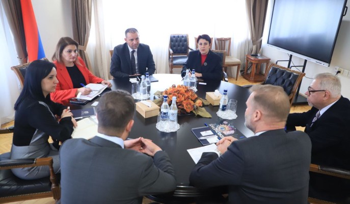 Վահան Քերոբյանն ընդունել է ANDRITZ Hydro-ի փոխնախագահին