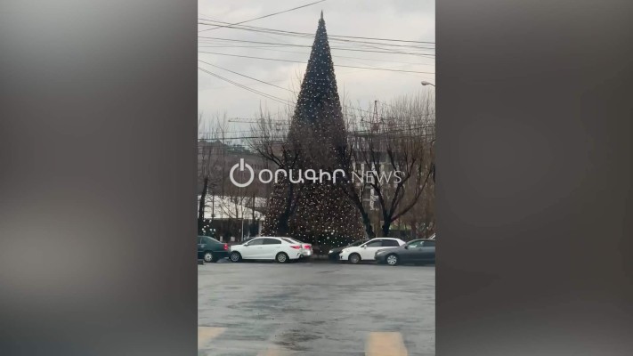 «Երազ» այգու տոնածառը խորհրդանշում է բոլոր տոները