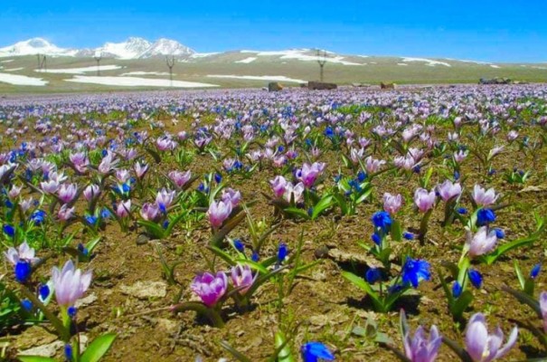 Օդի ջերմաստիճանը աստիճանաբար կբարձրանա 4-7 աստիճանով