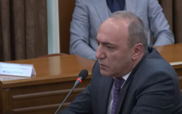 Որքան կնստի ամեն մի ծառը Երևան քաղաքի վրա. Բեգոյանը մանրամասներ հայտնեց
