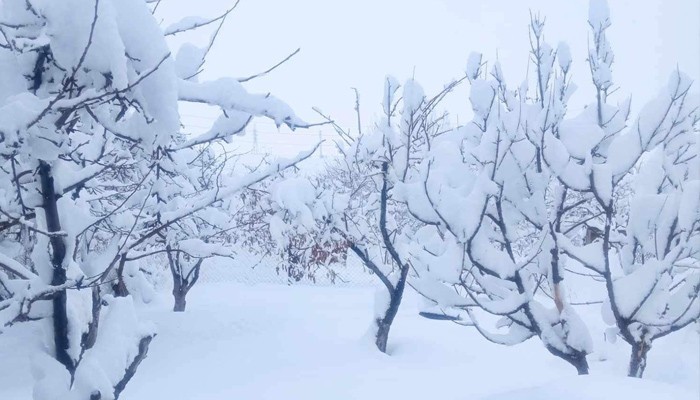 Հայաստանին է մոտենում նոր ցիկլոն