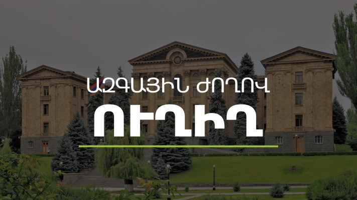 ՏՏԳՇՄՊ հարցերի մշտական հանձնաժողովի արտահերթ նիստ. ՈւՂԻՂ