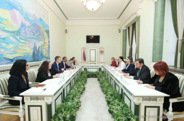 Աննա Վարդապետյանն ԱՄՆ գործընկերների հետ քննարկում է ունեցել
