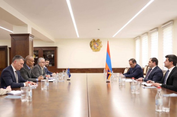 Պապիկյանն ու ԵԽ Երևանի գրասենյակի ղեկավարը քննարկել համագործակցության վերաբերյալ հարցեր