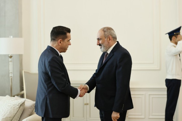 Փաշինյանն ընդունել է Հայաստանում Բրազիլիայի արտակարգ և լիազոր դեսպանին