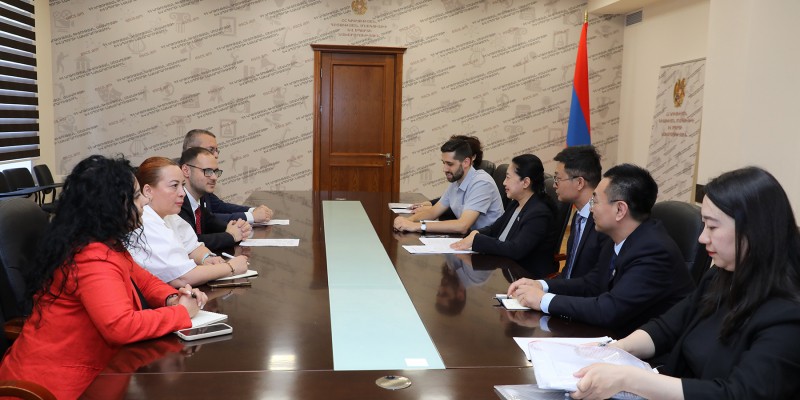 Քքննարկվել են Հայաստանում չինարենի զարգացմանը վերաբերող հարցեր