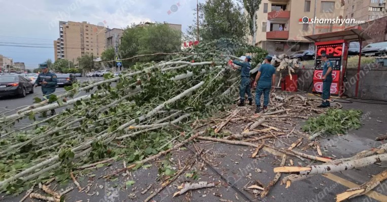 Երևանում հսկայական բարդին արմատից կոտրվել և տապալվել է. ավտոմեքենա է վնասվել