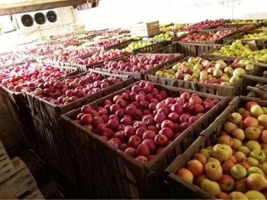 Քաղաքական որոշում՝ տնտեսական ոլորտում․ Հրապարակ