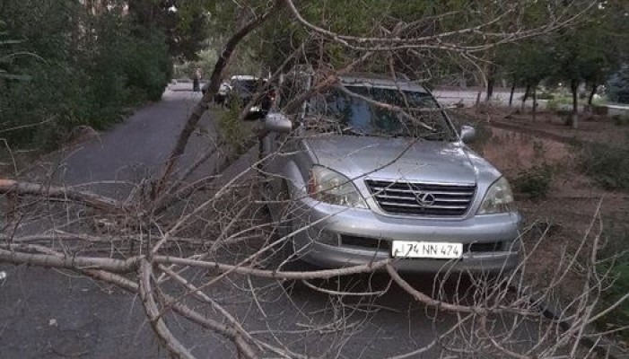 Քիչ առաջ քամին 100 տարվա չորացած ծառը գցեց ավտոմեքենայիս վրա․ բարեբախտաբար՝ մարդու բան չի պատահել․ Ղազար Գալոյան
