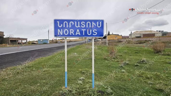Նորատուսի անտառում ծառերի սպանդ է իրականացվել. shamshyan.com