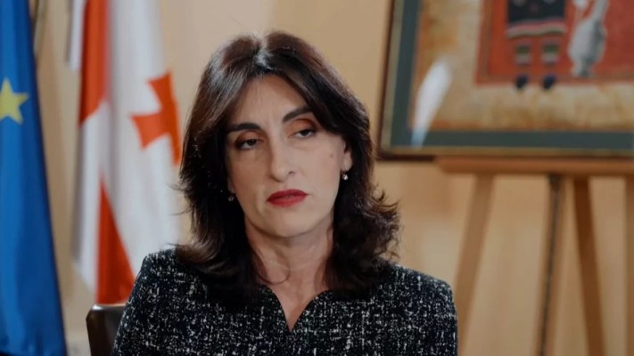 Ուրախ ենք, որ Վրաստանն Ուկրաինայի հետ նույն գնացքում չէ․ Վրաստանի ԱԳ նախարար
