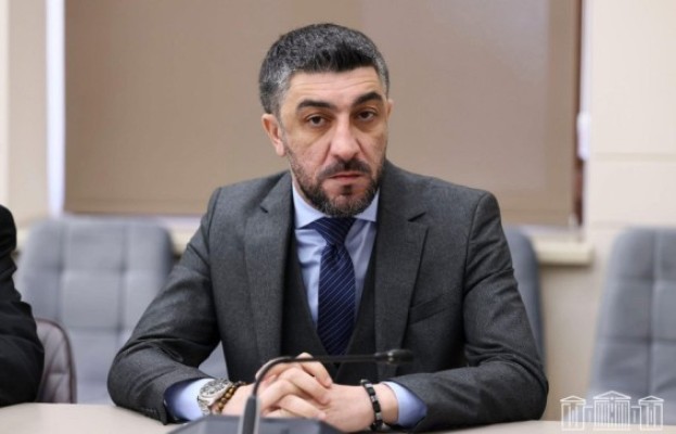 Վիլեն Գաբրիելյանը խնդրանքով դիմել է պատգամավորներին