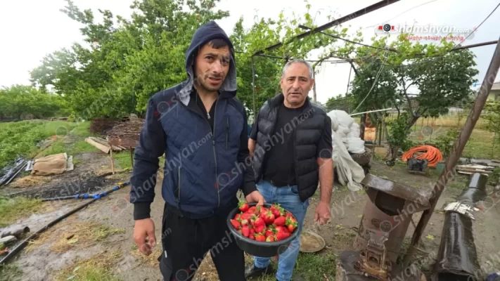 Կարկուտը մեծ վնասներ է հասցրել Բյուրավան գյուղի բնակիչներին. փչացել է ծիրանի ու ելակի բերքը. shamshyan.com