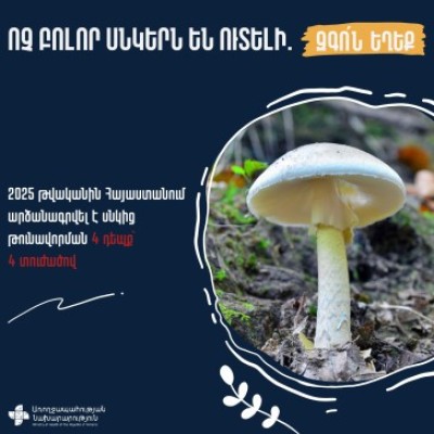 Ոչ բոլոր սնկերն են ուտելի, զգոն եղեք. Առողջապահության նախարարություն